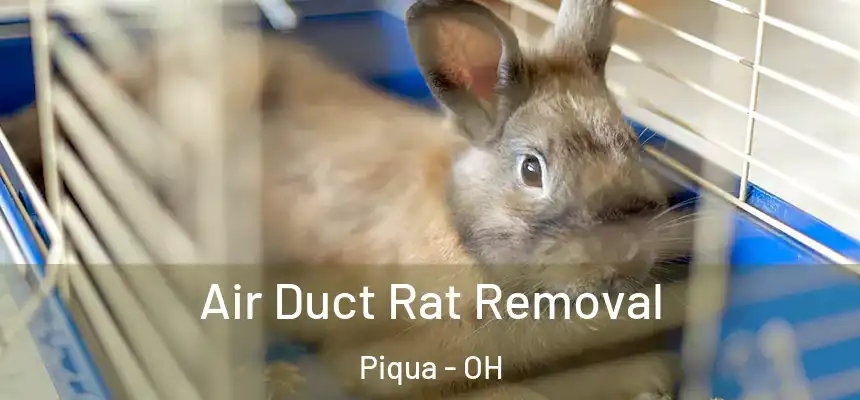  Air Duct Rat Removal Piqua - OH