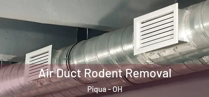  Air Duct Rodent Removal Piqua - OH