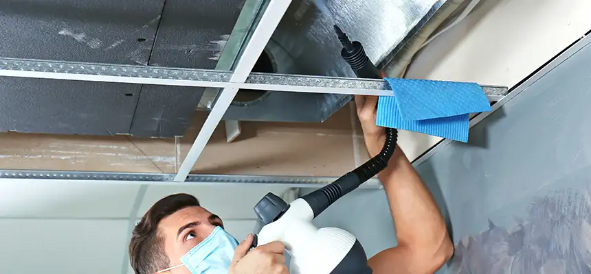 Our Air Duct Rodent Removal Services in Piqua, OH