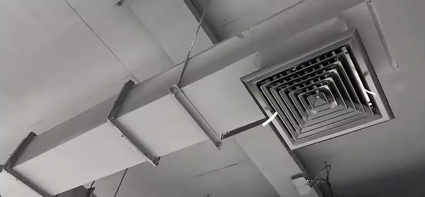 Our Rodent Droppings In Vents Services in Piqua, OH