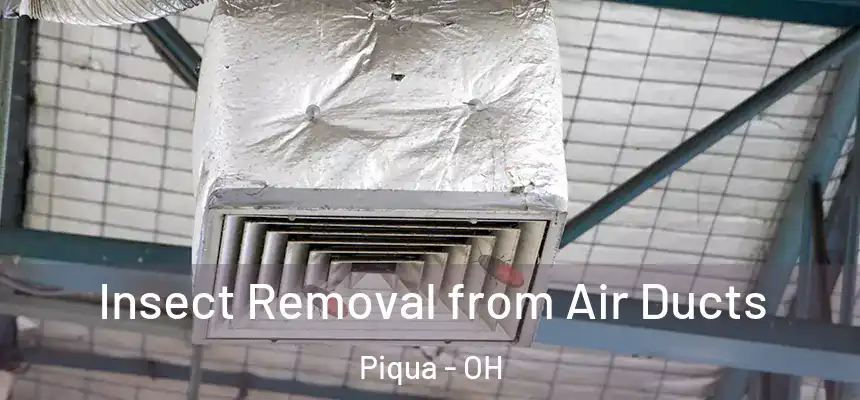  Insect Removal from Air Ducts Piqua - OH