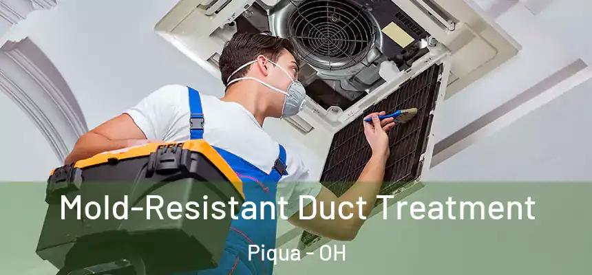  Mold-Resistant Duct Treatment Piqua - OH