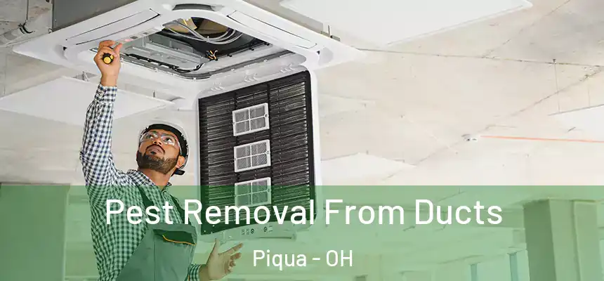 Pest Removal From Ducts Piqua - OH
