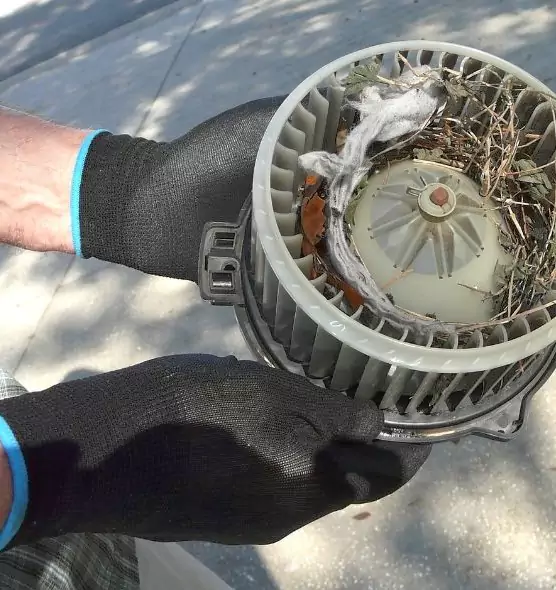 About Air Duct Rat Removal in Piqua, OH