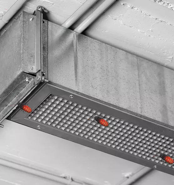 Affordable Insect Removal from Air Ducts in Piqua, OH